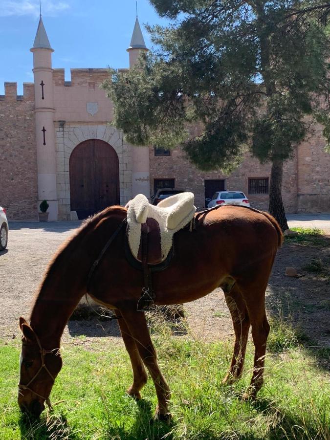 Castillo Con Piscina En Plena Sierra Calderona Segorbe Dış mekan fotoğraf